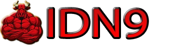 IDN9 Logo